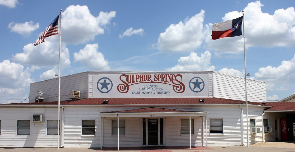 Sulphur Springs Livestock and Dairy Auction